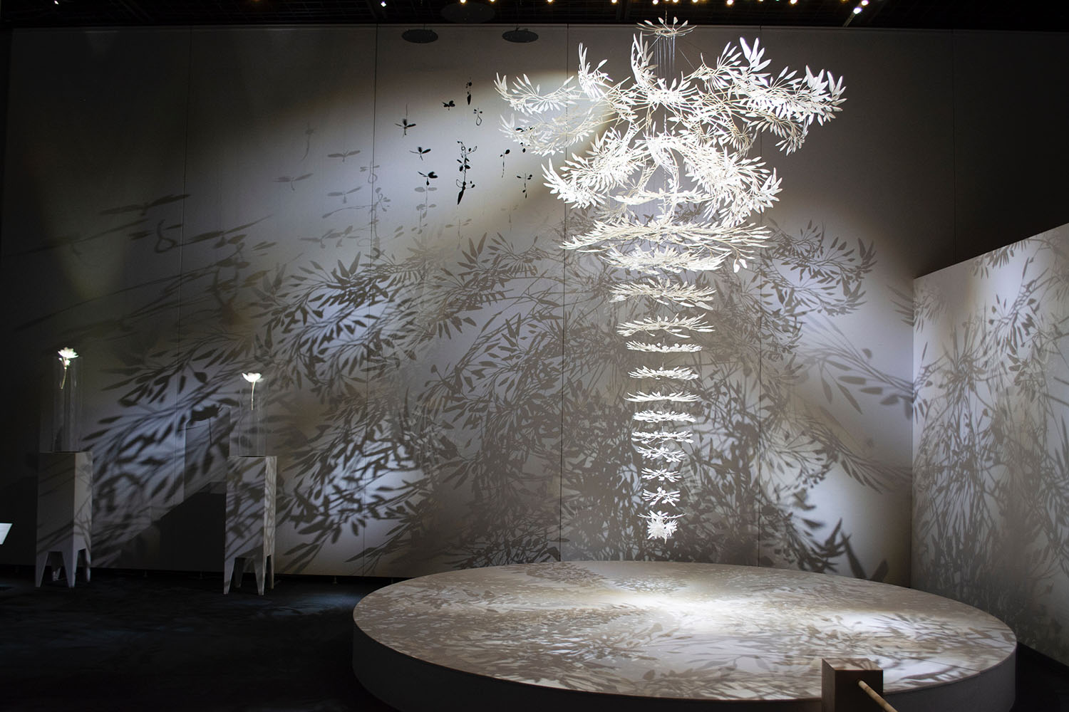 画像が削除されました