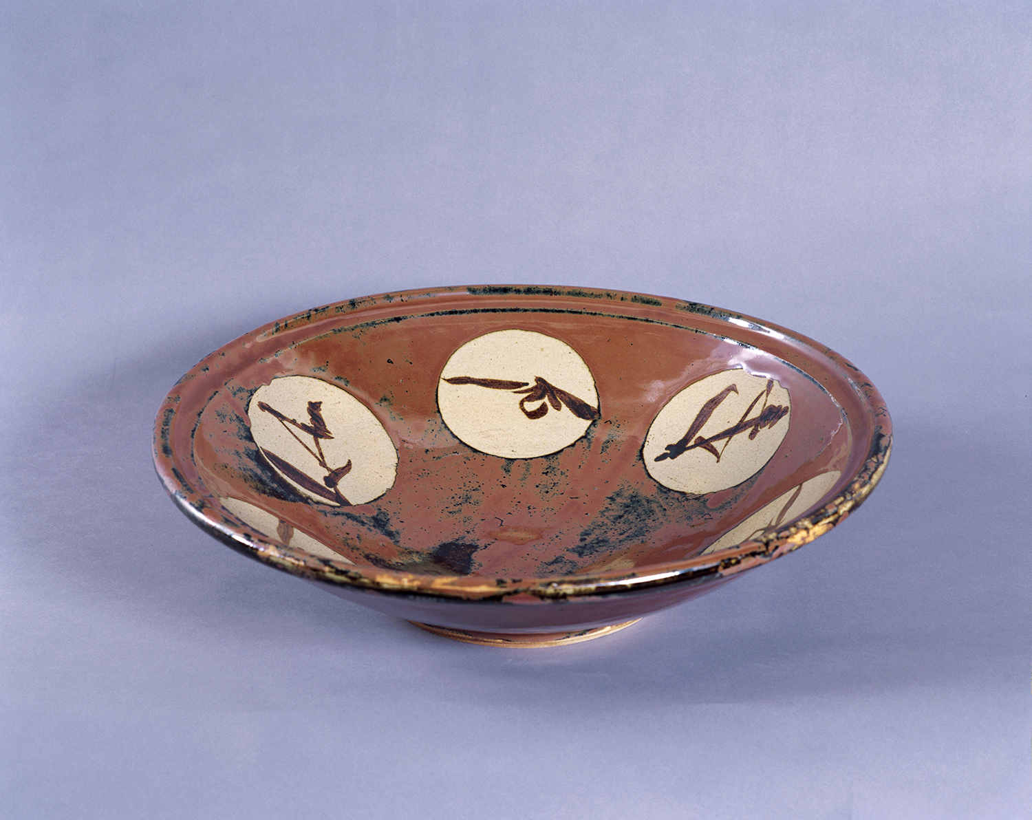 ご案内】《ブリロ・ボックス》展示スケジュール