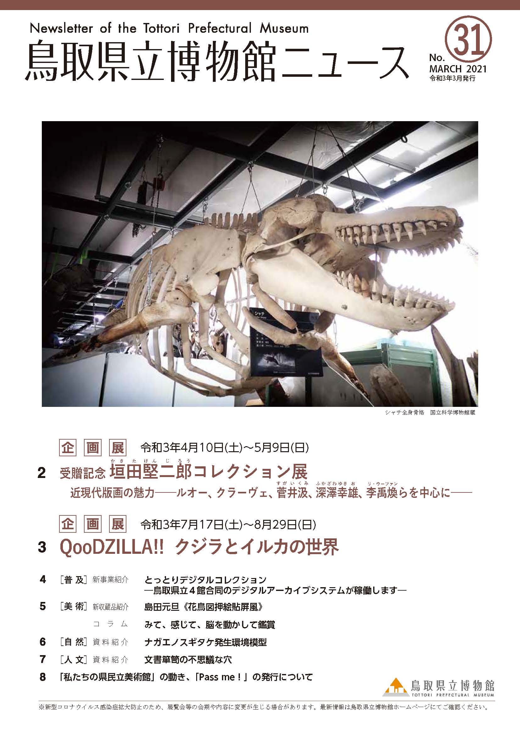 鳥取県立博物館ニュースvol.31表紙